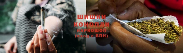 сатива Магас
