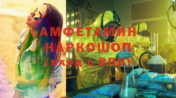 сатива Магас