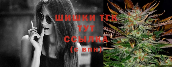 сатива Магас