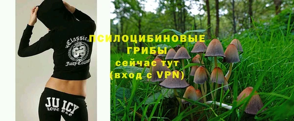 сатива Магас