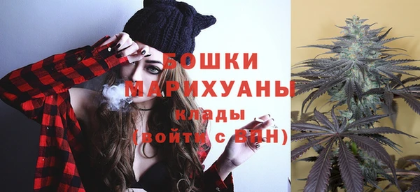 сатива Магас
