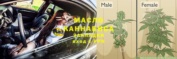 сатива Магас