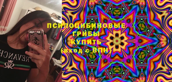 сатива Магас