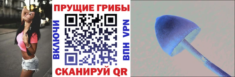 Псилоцибиновые грибы мухоморы  Сокол 