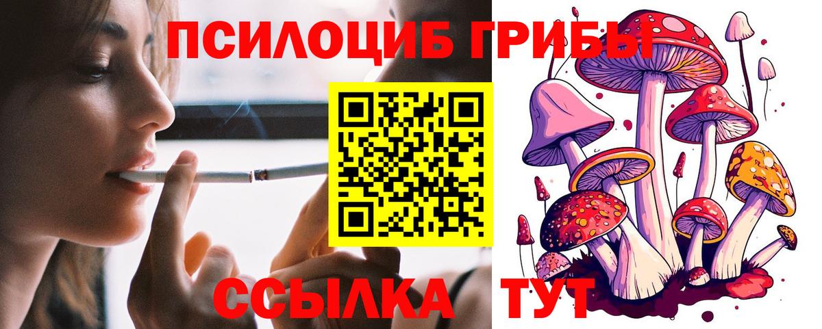 Псилоцибиновые грибы GOLDEN TEACHER Сокол