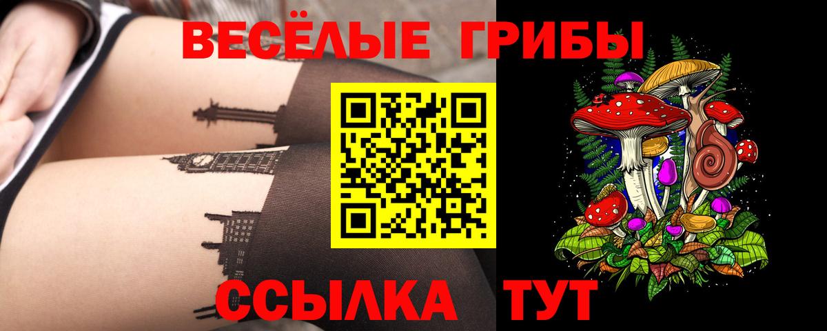 Галлюциногенные грибы Cubensis  Галлюциногенные грибы мицелий  Сокол  Вход с VPN 