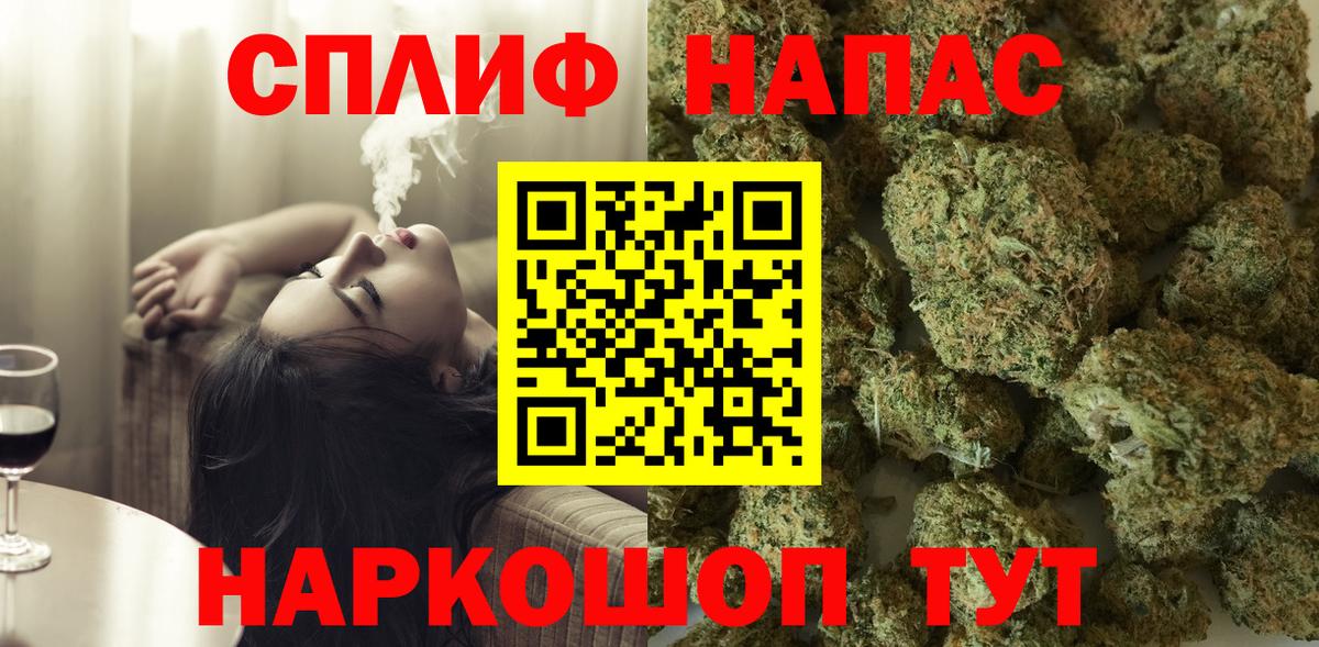 Канабис MAZAR Сокол